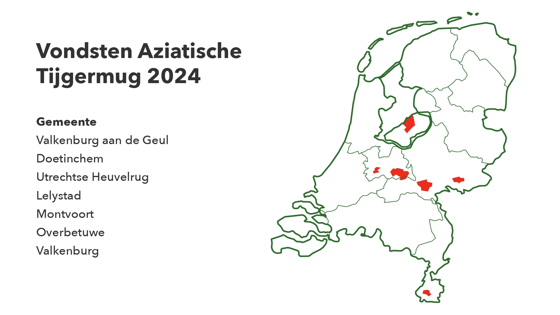 Waarnemingen van de Aziatische Tijgermug in Nederland nemen toe