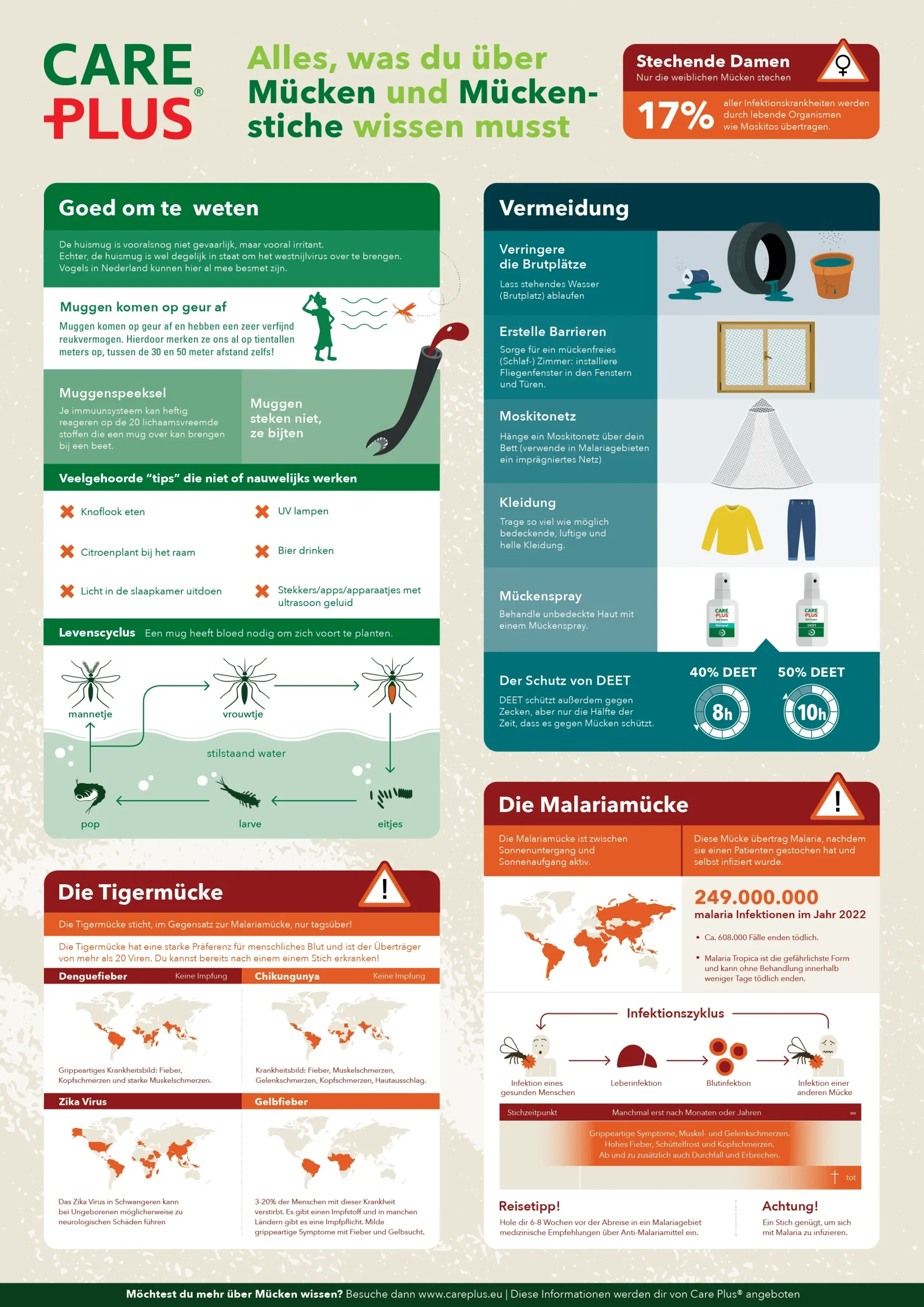 Lesen Sie in dieser Infografik alles über Mücken