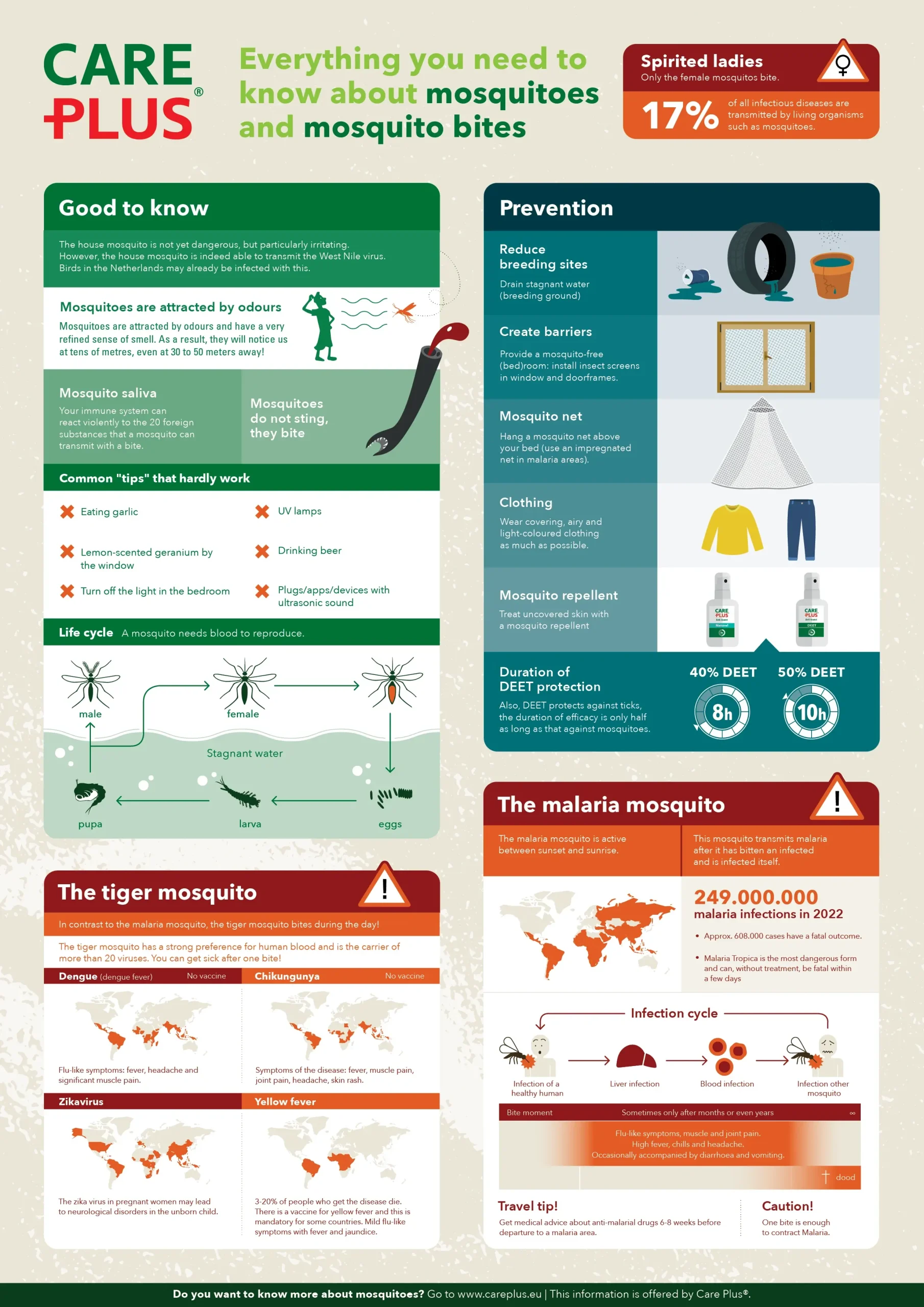 Read all about mosquitos in our infographic